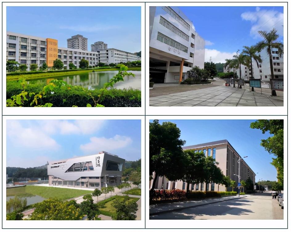 高职高考必看｜广东南方职业学院