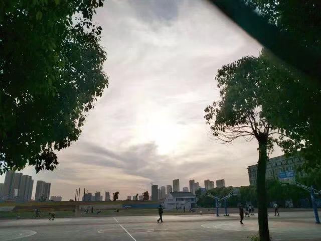 原来武汉这所大学遍地是