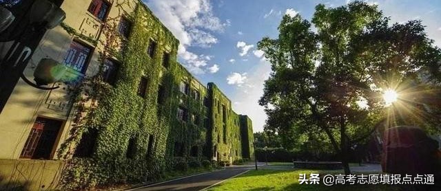 西南大学优势专业分析及2019、2018、2017年各省录取分数线