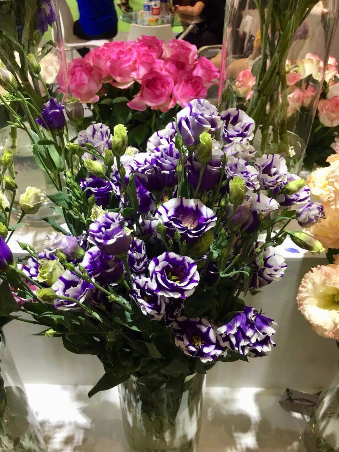 白色洋桔梗花语是什么（洋桔梗养护注意事项）