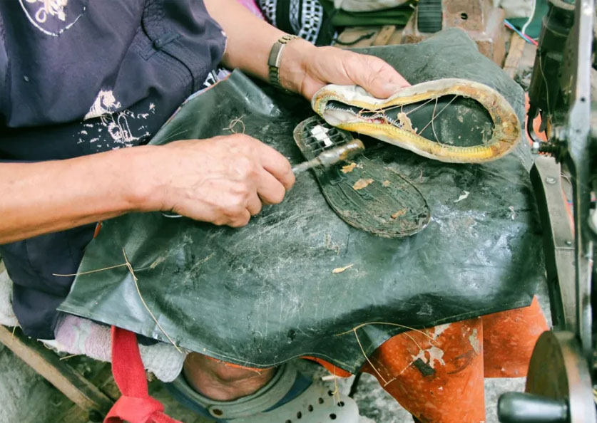 沙雕网友的一次难过的修鞋经历!老一辈的手艺,你可不能随便质疑
