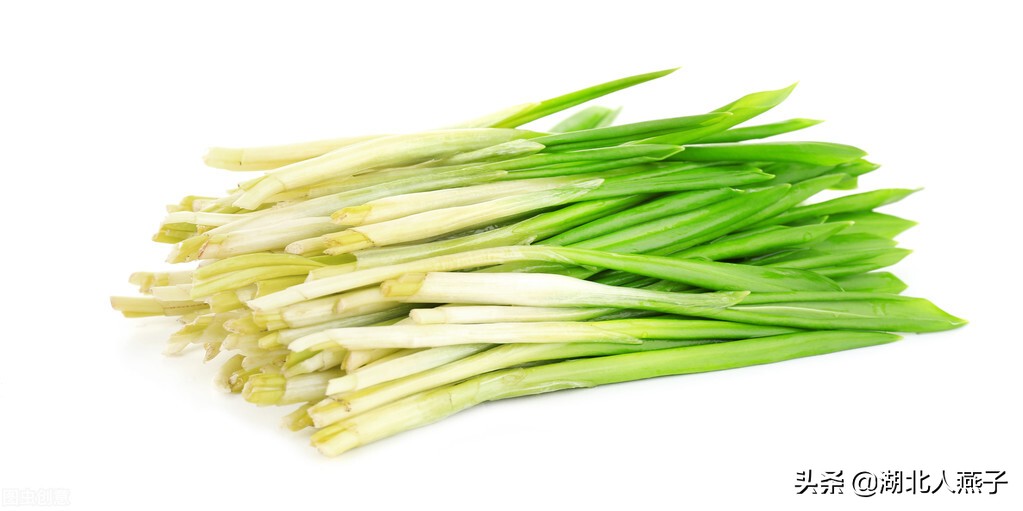 39种野菜图片，教你认识不同的野菜和吃法，你想要的野菜这里都有