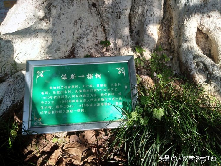 为逝去的记忆——重庆市合川师范学校掠影