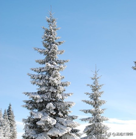 实习律师实习日志（实习律师实习日志第八篇）