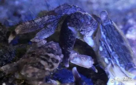 海水的白点没有一次又一次地固化 标准答案在这里 天天看点