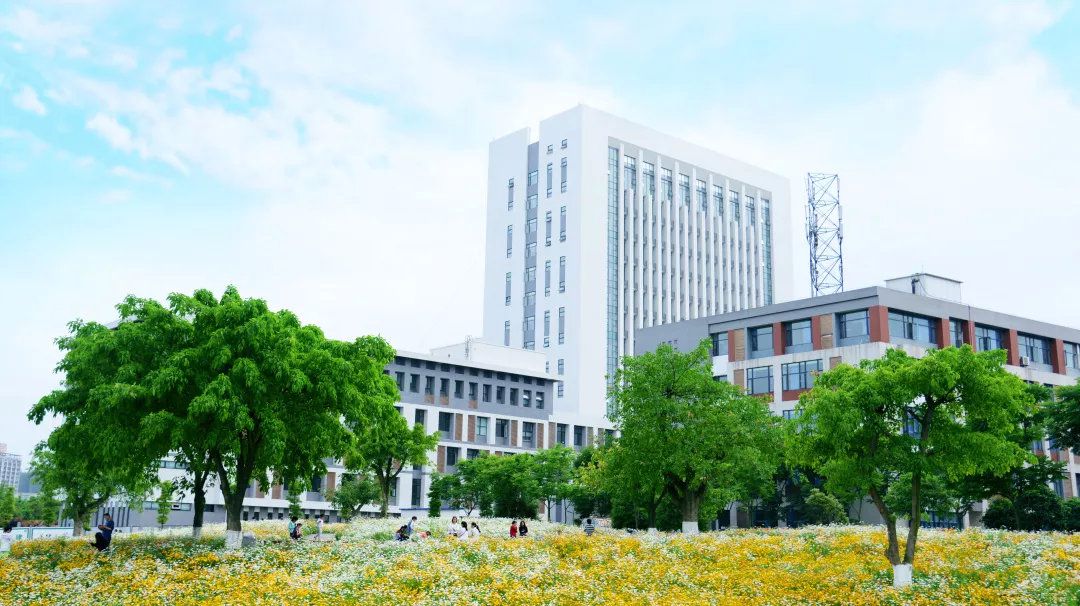 西南科技大学分数线2017（川传）