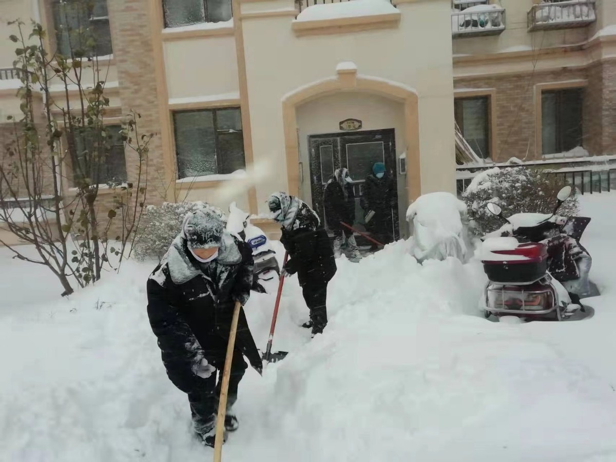 15辆铲车来小区除雪，这阵仗，以前没见过