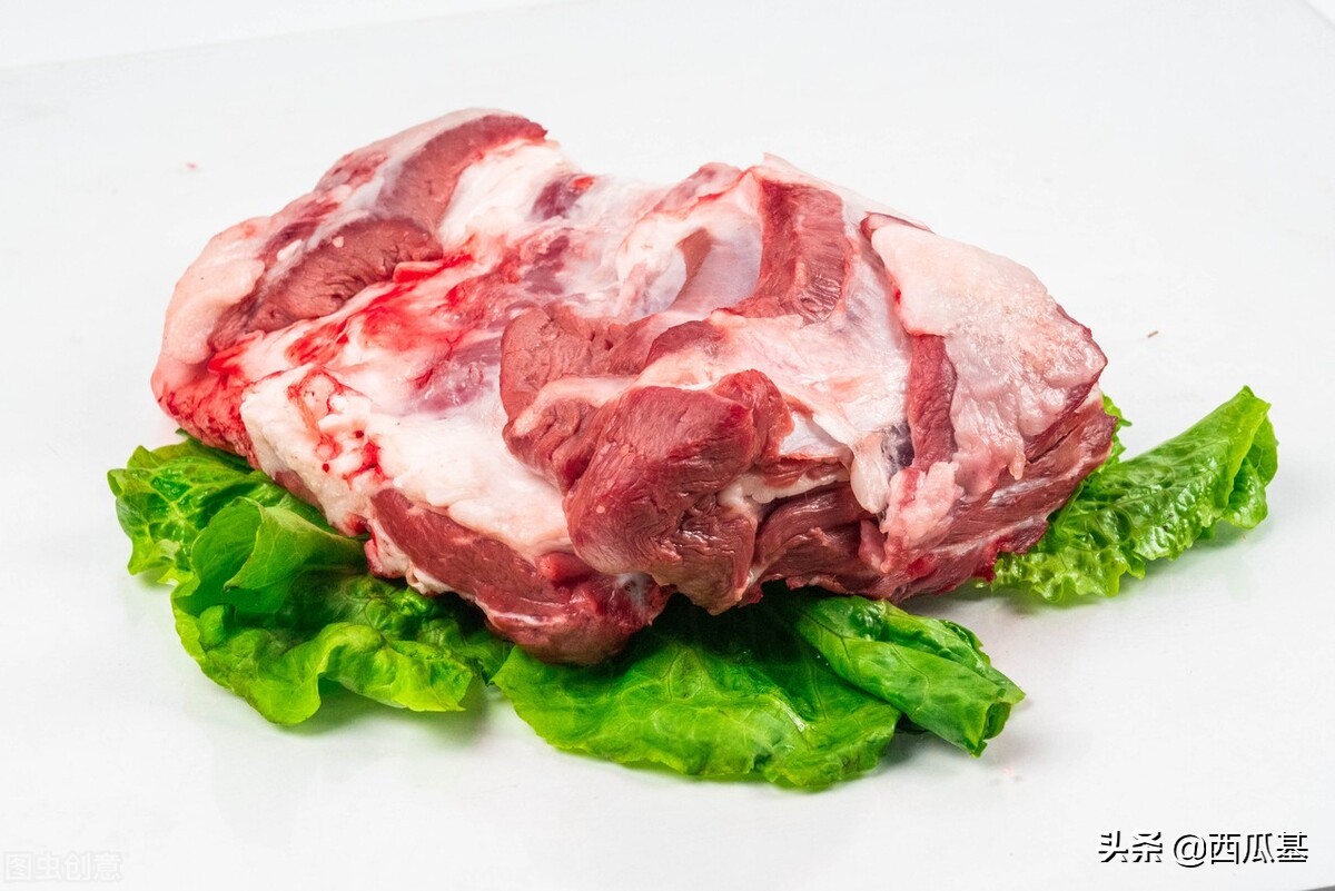 狗狗能吃馒头吗（10种食物能充当营养添加剂放心喂狗狗）