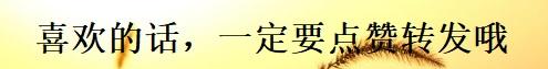 高位下拉可以做80公斤，但引体向上却拉不起来，什么原因？