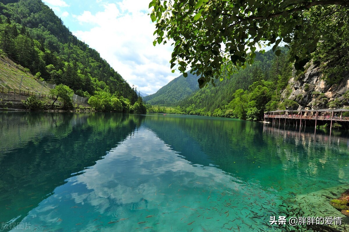 温暖在左明媚在右，清浅时光且歌且行，一路风景花香遍地，风盈盈