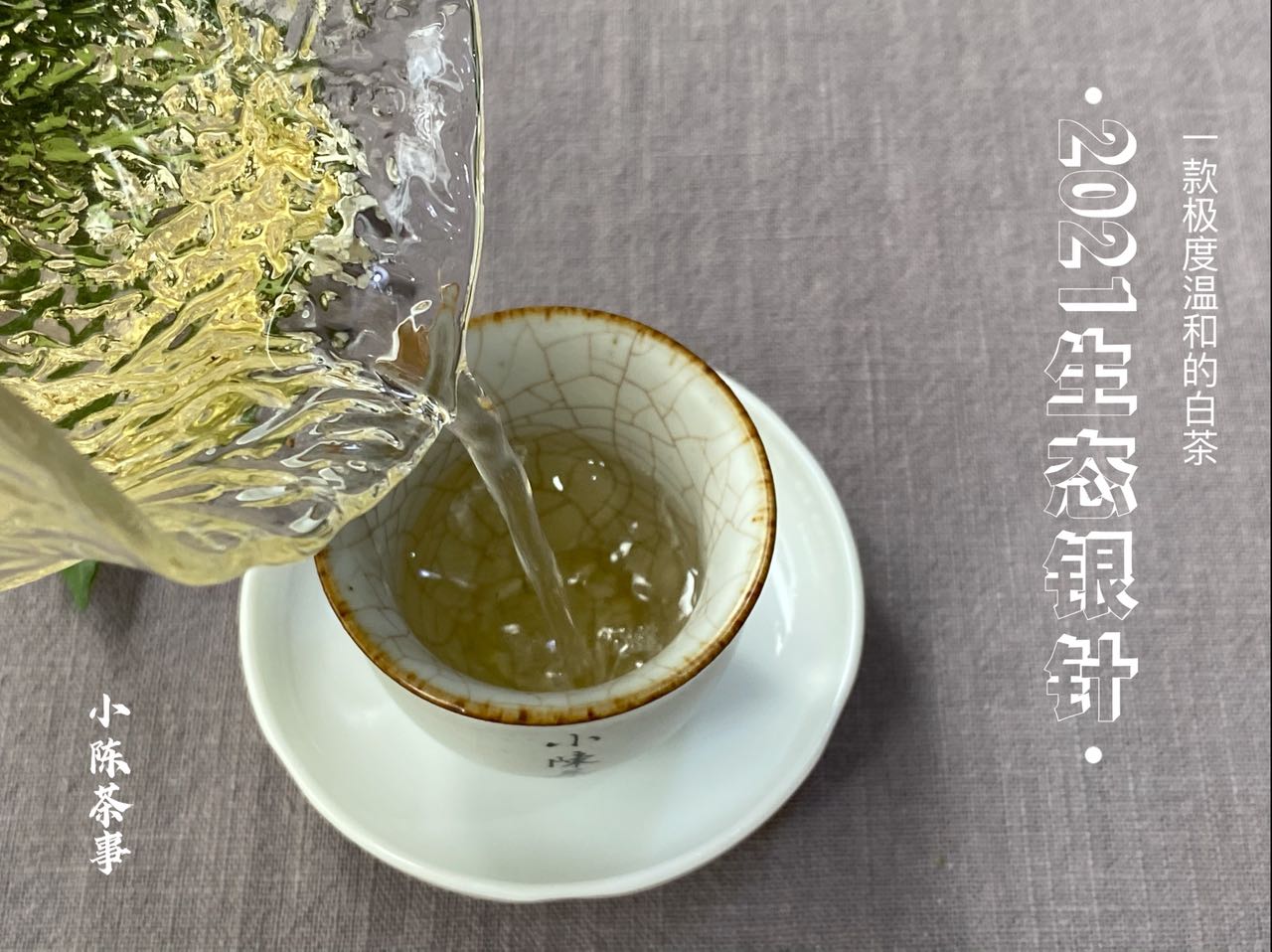 新手买茶具不要盲目跟风，买这5样就够了，帮你省下近千元