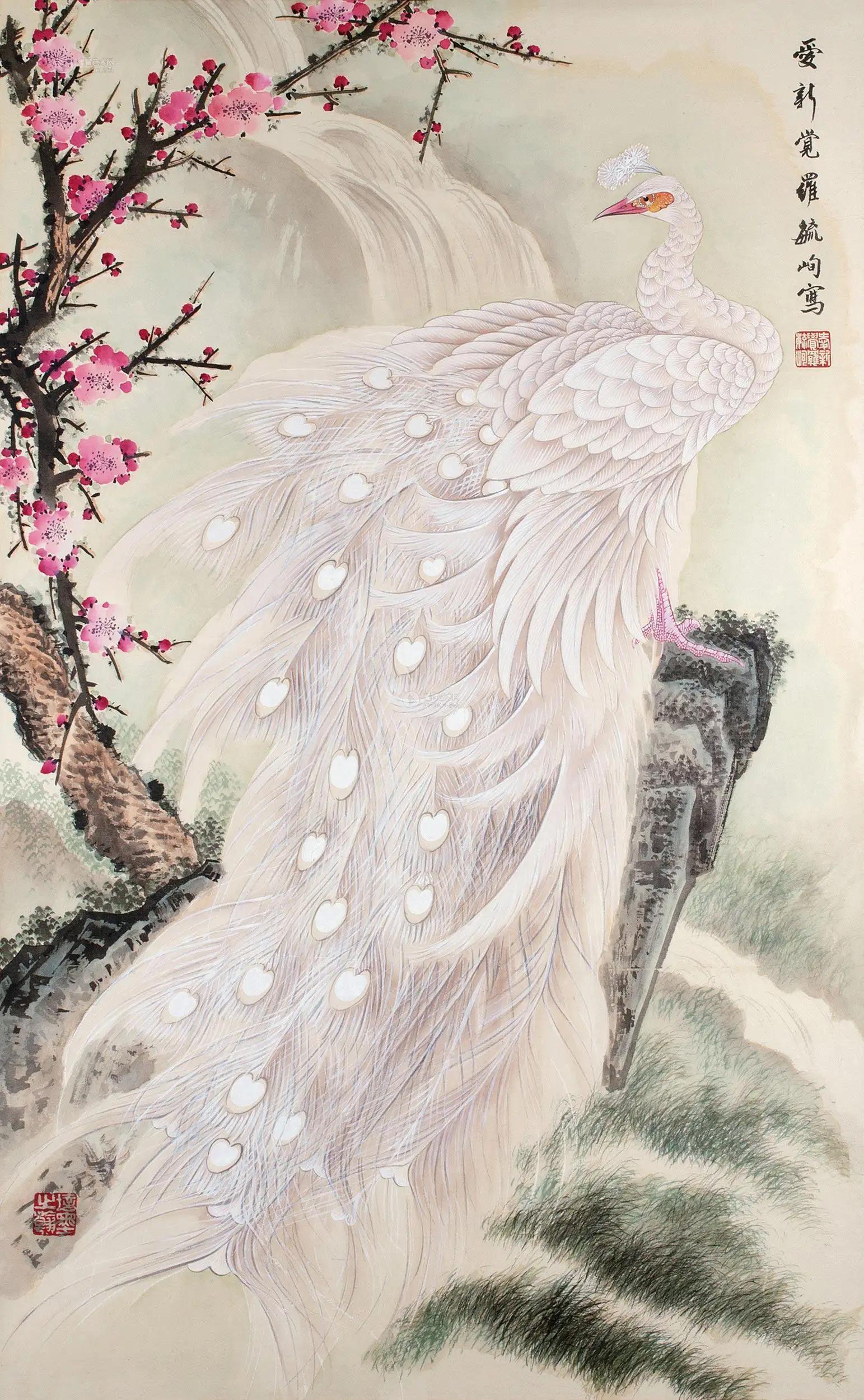 高贵,冷艳的白孔雀