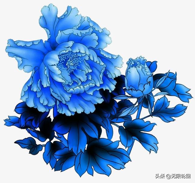 唯有牡丹真国色：10首最经典的牡丹花诗词