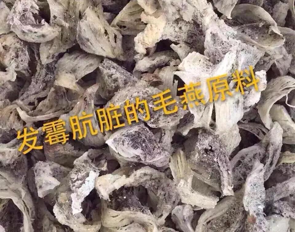 黄唇鱼鳔(全世界的渣渣，只有中国人当成宝的燕窝，真是燕子的口水吗？)