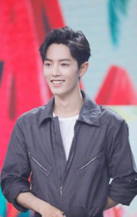 从普通人一跃成为当红流量小生，肖战的成功离不开她的支持，祝福