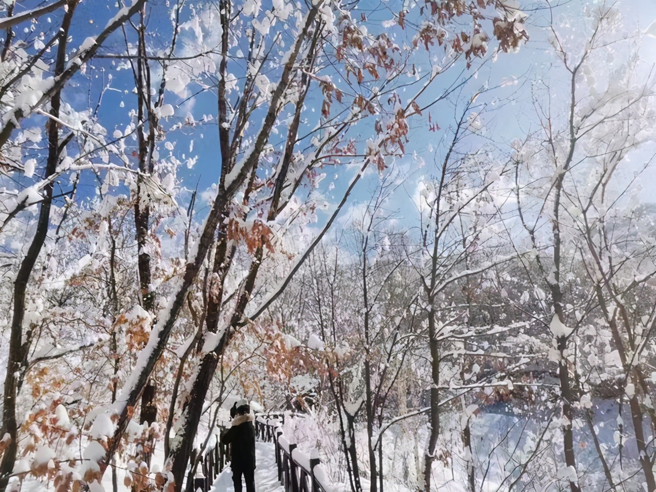 逢年过节，亲戚往来，更应该断舍离