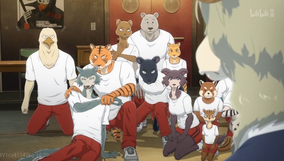 《动物狂想曲》:这是一部车速飞快,cp大乱炖的小甜番