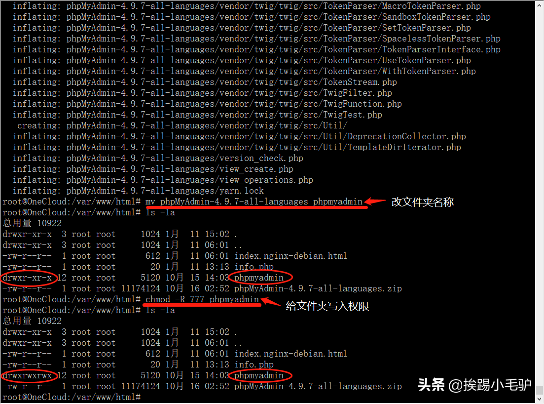 玩客云系列4之debian安装MySQL数据库管理工具