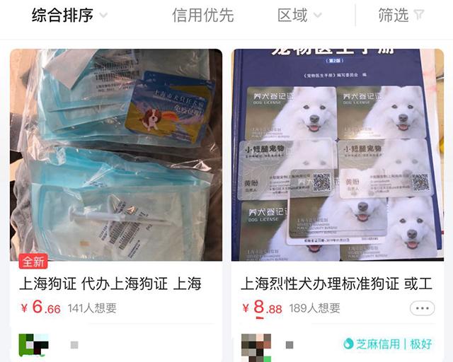申晨间  | 3800元！有人在闲鱼公开叫卖“为上海烈性犬办正规狗证”