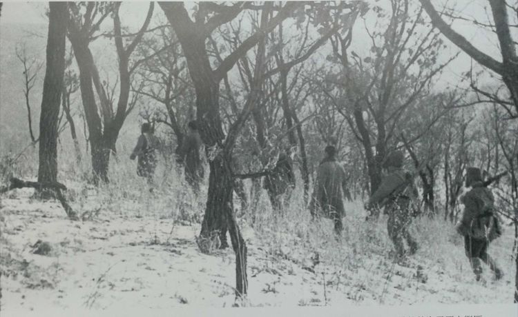 1965年，东北农村会计被检举，查出真实身份后，必须枪毙