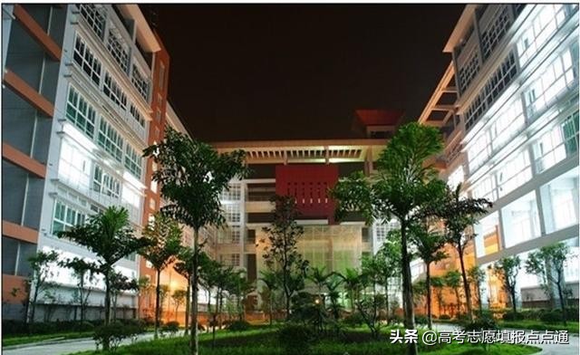 西南政法大学优势专业分析及2019、2018、2017年各省录取分数线