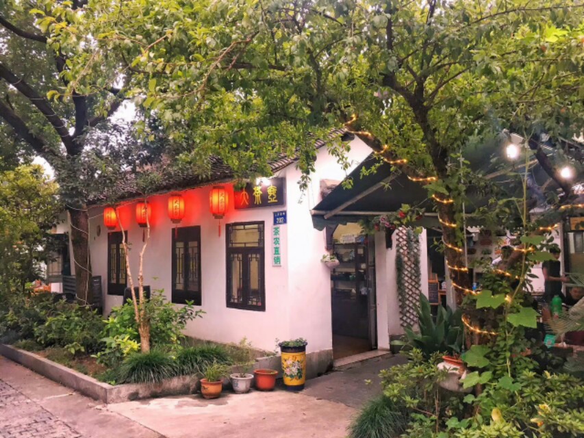 人间有味是清欢，足不出户，食鲜笋，乃知春至，乃知希望至
