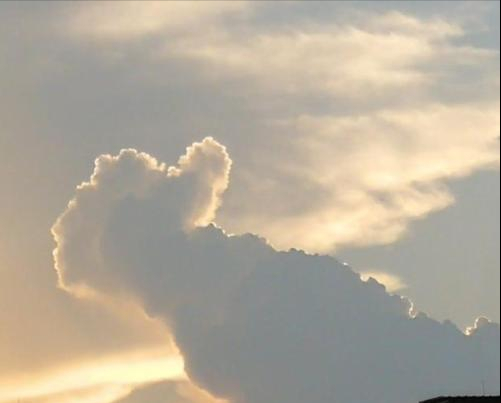 高考后很多学校打电话（高考录取中）