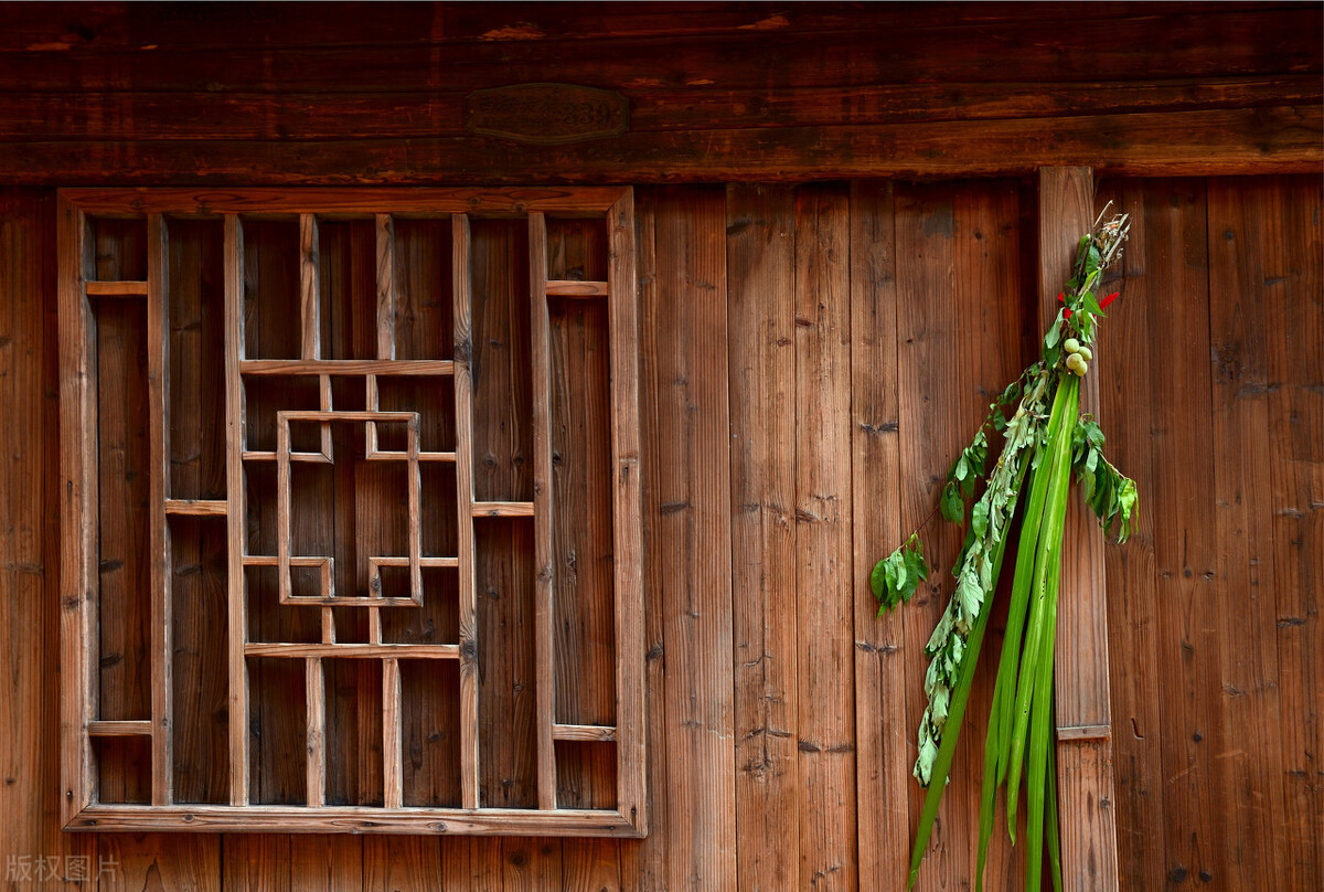 艾叶草图片(河边见到飘香的) - 赤虎壹号