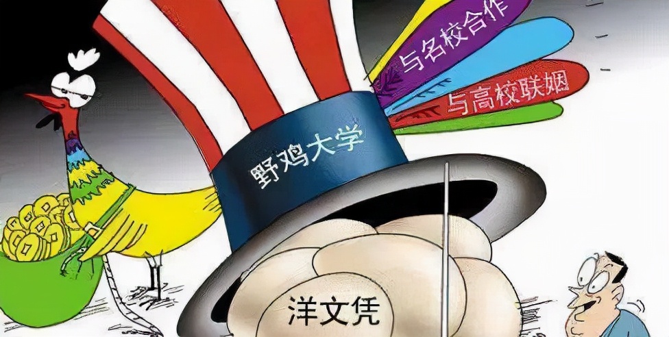 浙江有4所大学真“坑人”，学生花大价钱入学，毕业证却好似废纸