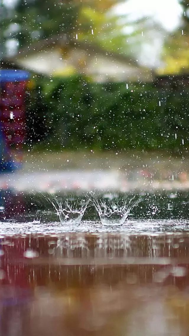 下雨天，随处都是景，怎么拍出意境？