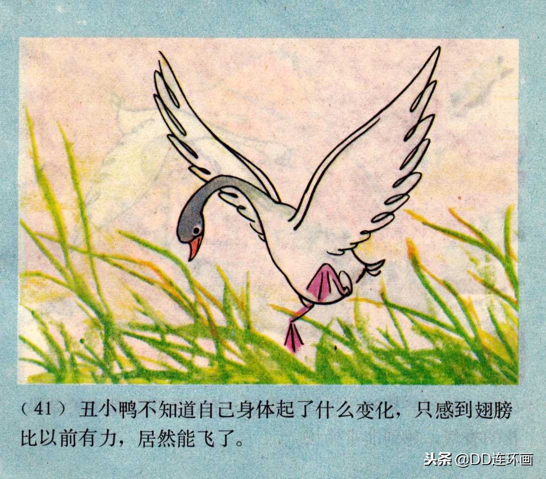 「dd」童话故事连环画:《丑小鸭》