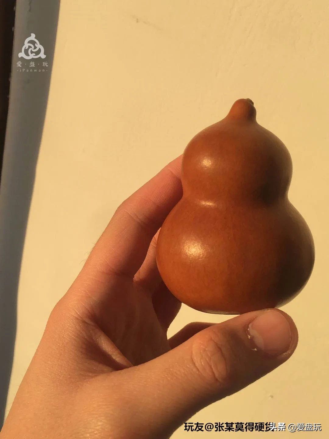 玩过老葫芦的玩家,可能都有这样的体验,年份越老的葫芦,颜色就会越