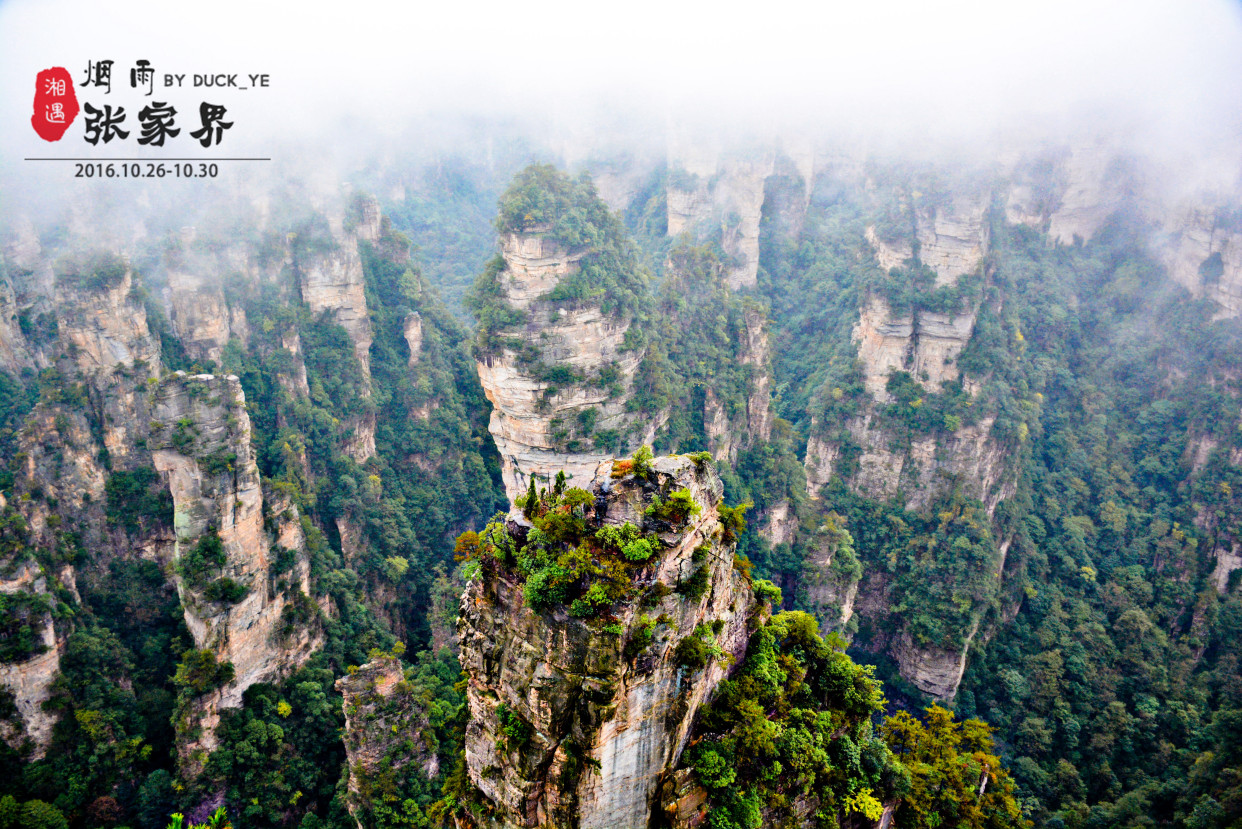 待疫情过去后，来张家界旅游吧，这三个景点不容错过！​