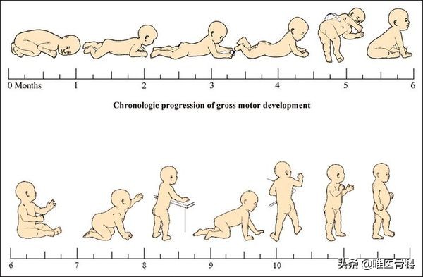 0到1岁前后，是宝宝脊柱发育的黄金阶段，千万别疏忽大意