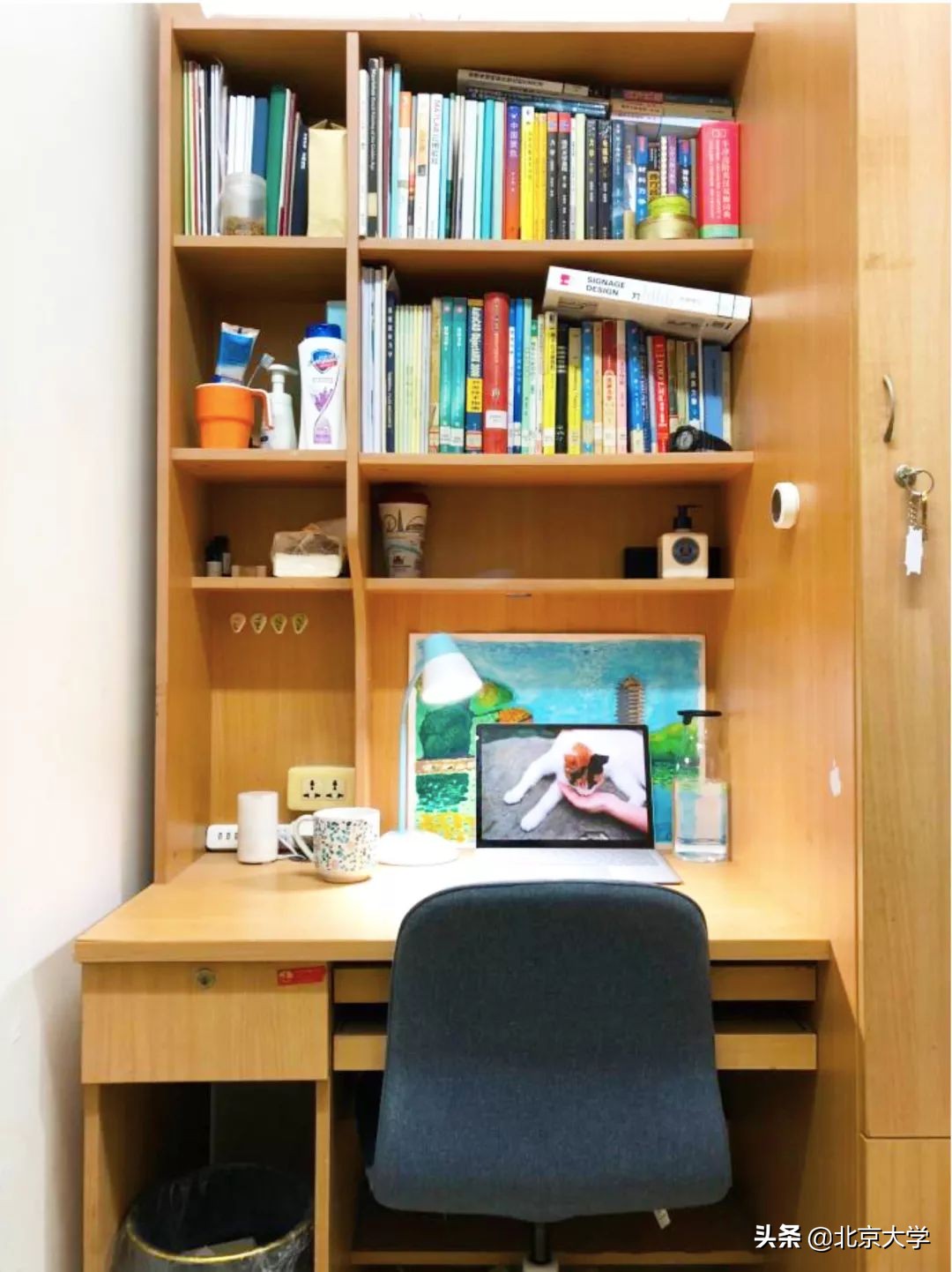 北大学霸宿舍来袭！看看上大学该有的样子