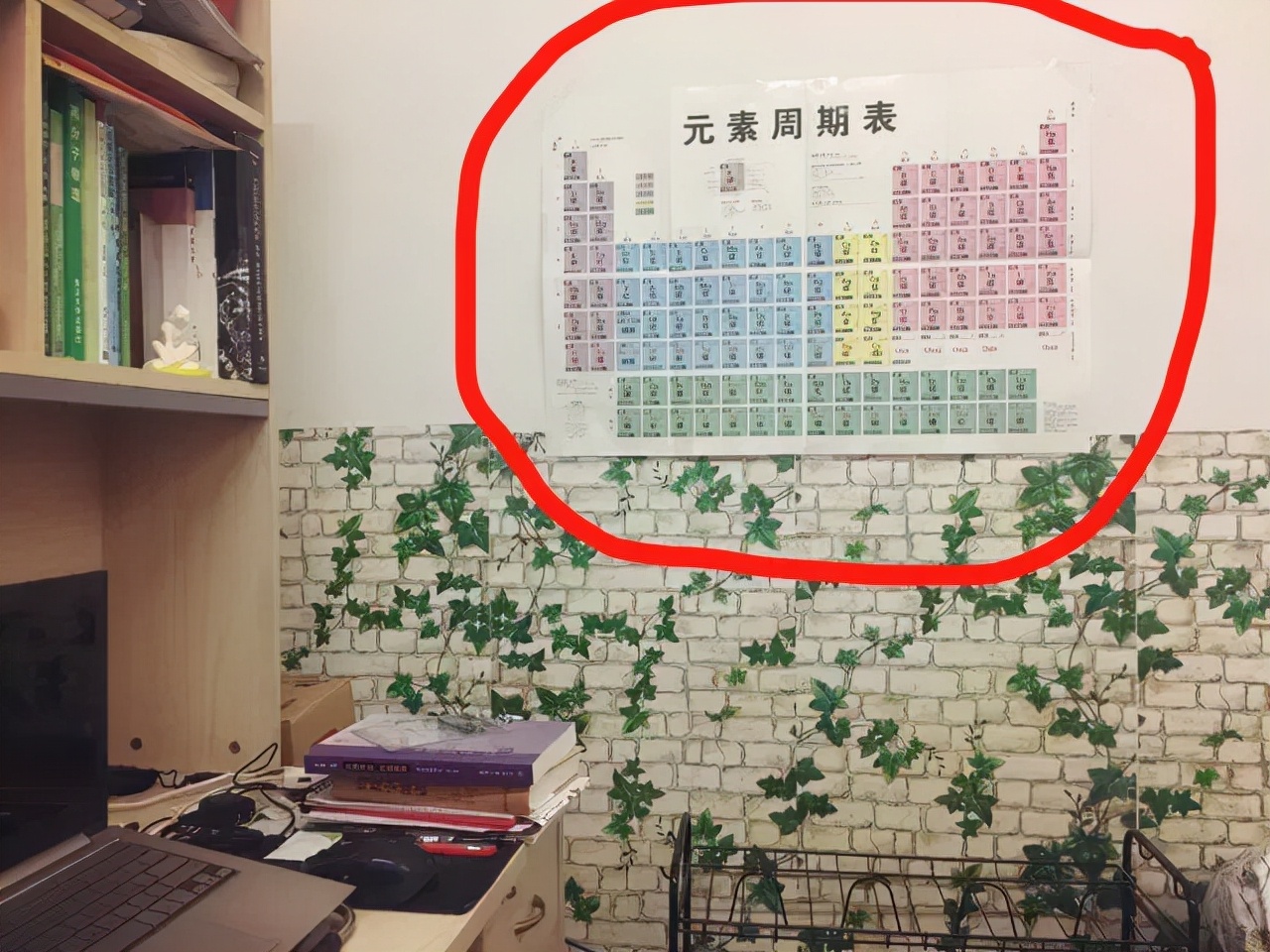 某211高校食堂一幕引热议：那些好学校的读书氛围有多震撼？