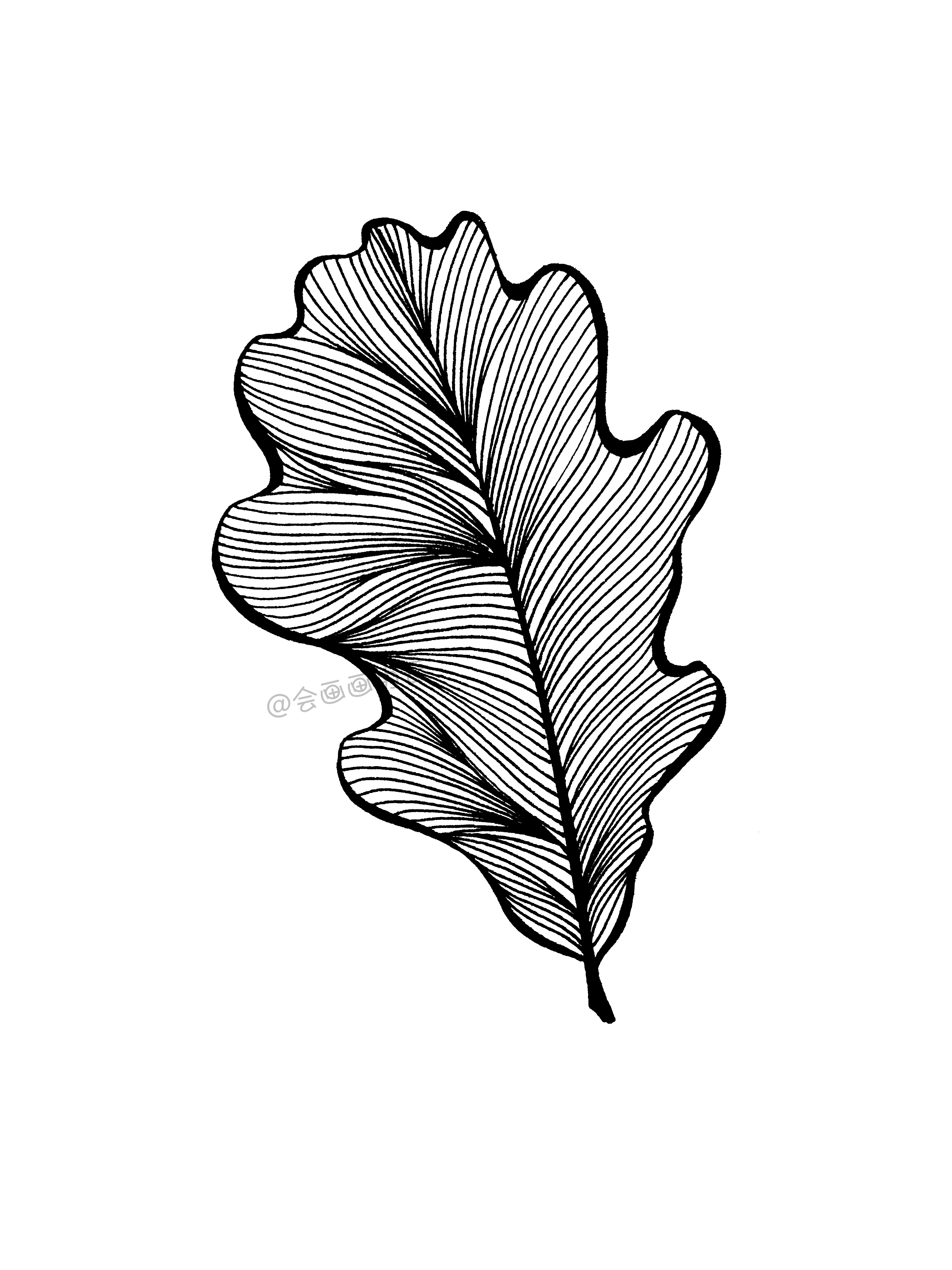 小白也能学会的简笔画叶子(学画叶子简笔画) - 趣味头条