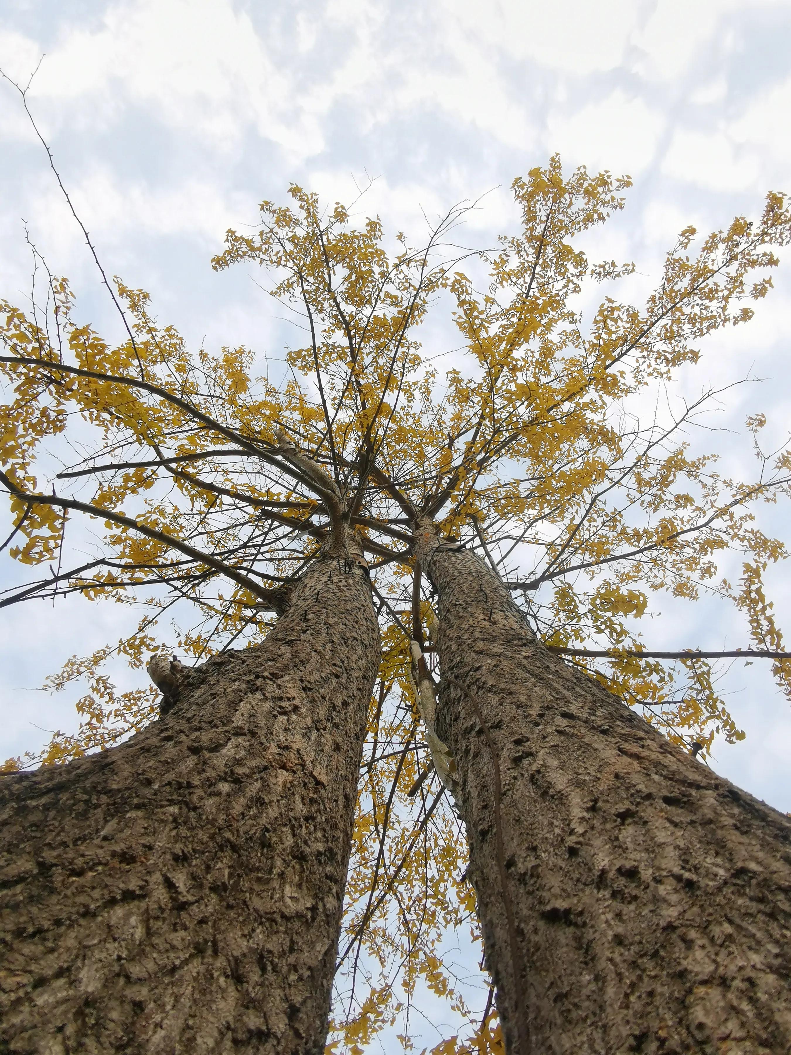 手拍世界（手机摄影平台）-群员作品集（总第733期）