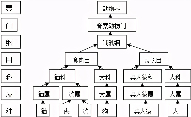 活着的麻雀很常见，为何你从未见过死去的麻雀？