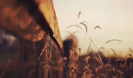 再忆｜2015上海卷高考作文题目——《我心塑我性》