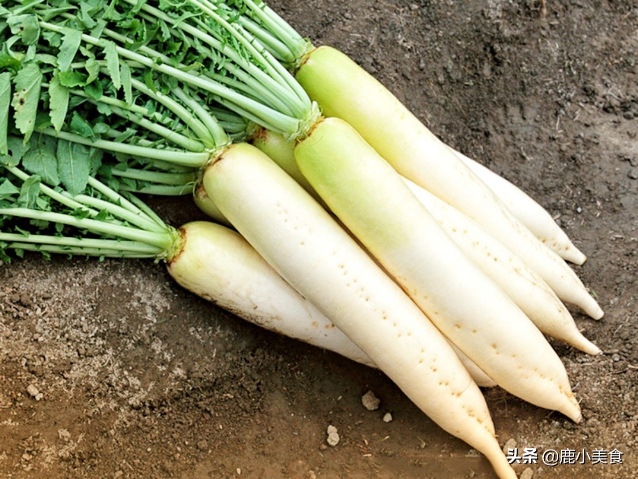 “冬吃萝卜夏吃姜”，3种萝卜炖法，味道棒极了，提高体质还暖身