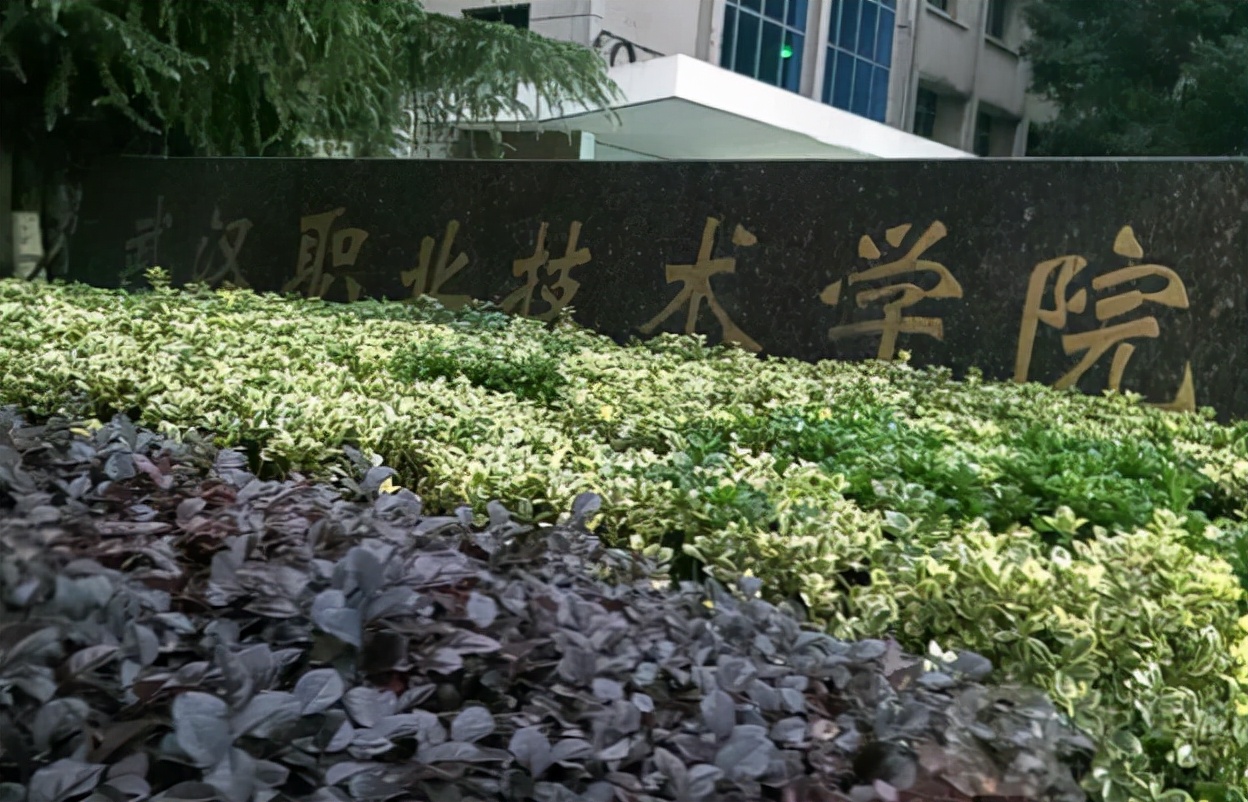 我国3所实力不俗的专科院校，分数线不比本科低，学生毕业有发展