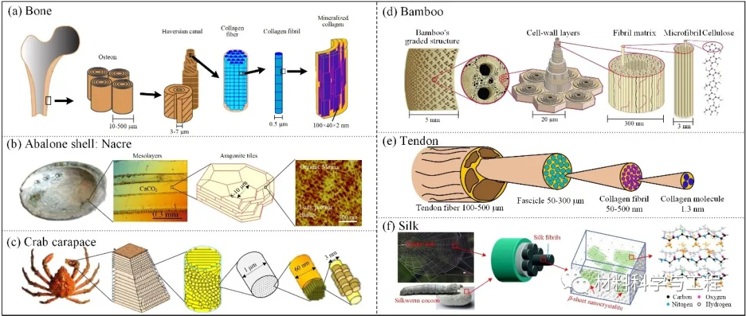 北航-武大-清华联手发顶刊综述:多层级复合材料力学研究进展