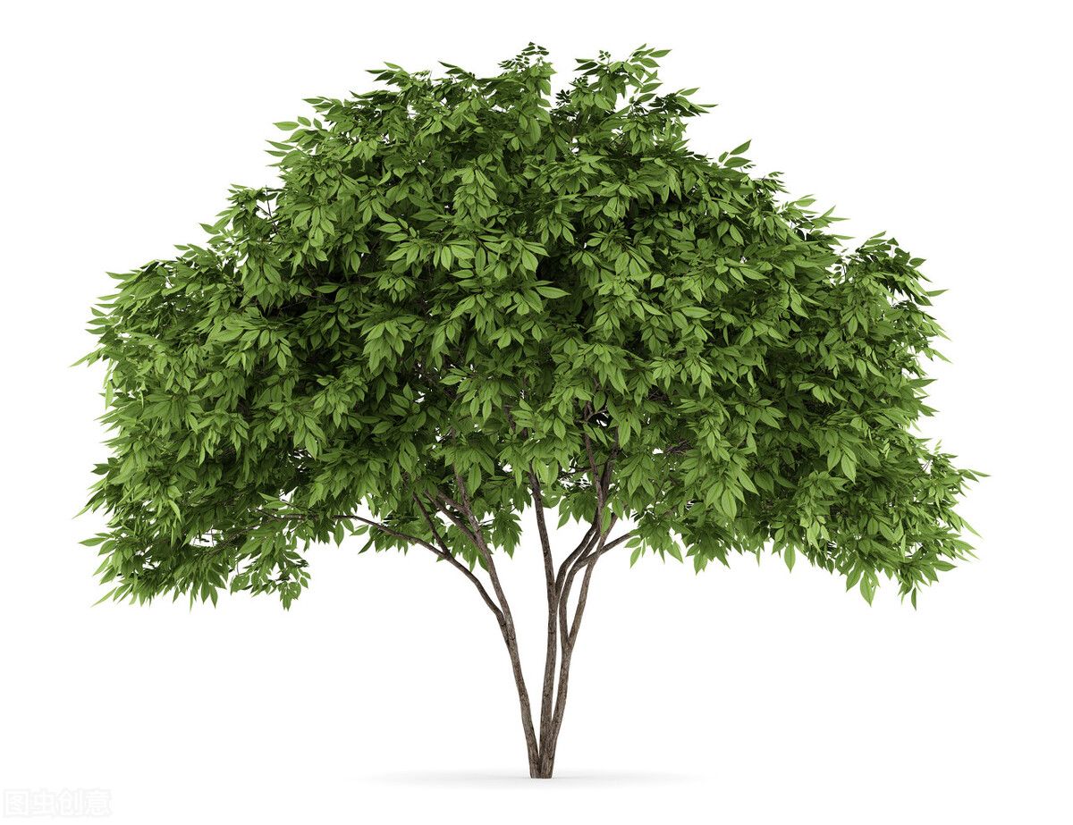 读故事闯三关，巧记六级词汇（34）