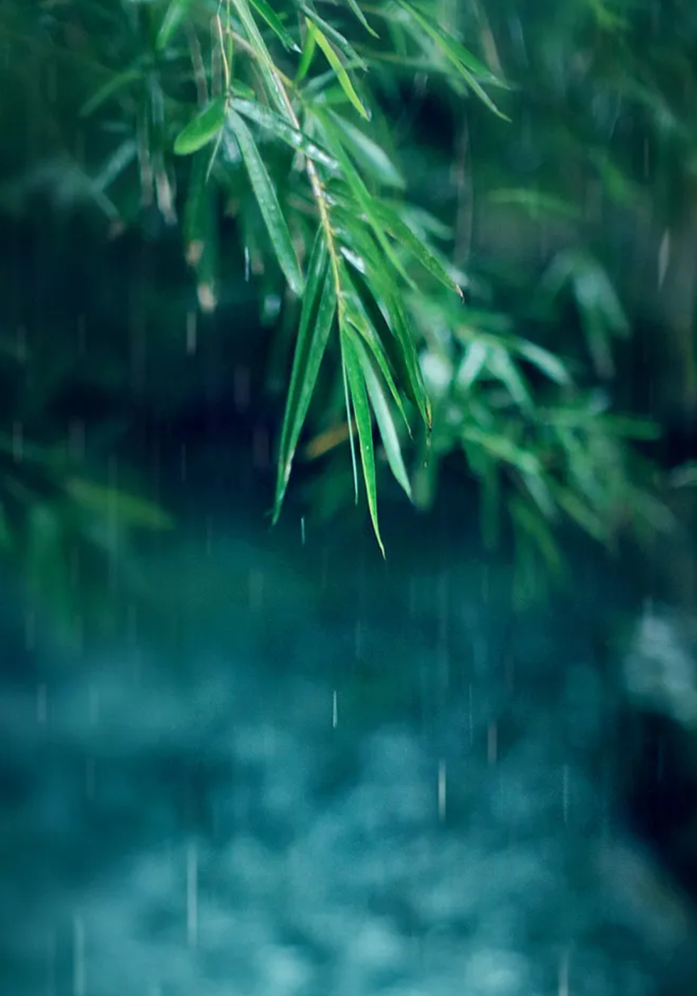 「诗词鉴赏」12首有关小雨的诗词，让小雨驱散夏日的炎热