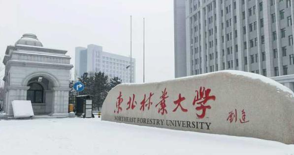 黑龙江高校排名最新出炉，哈工大一举夺魁，黑龙江大学实至名归