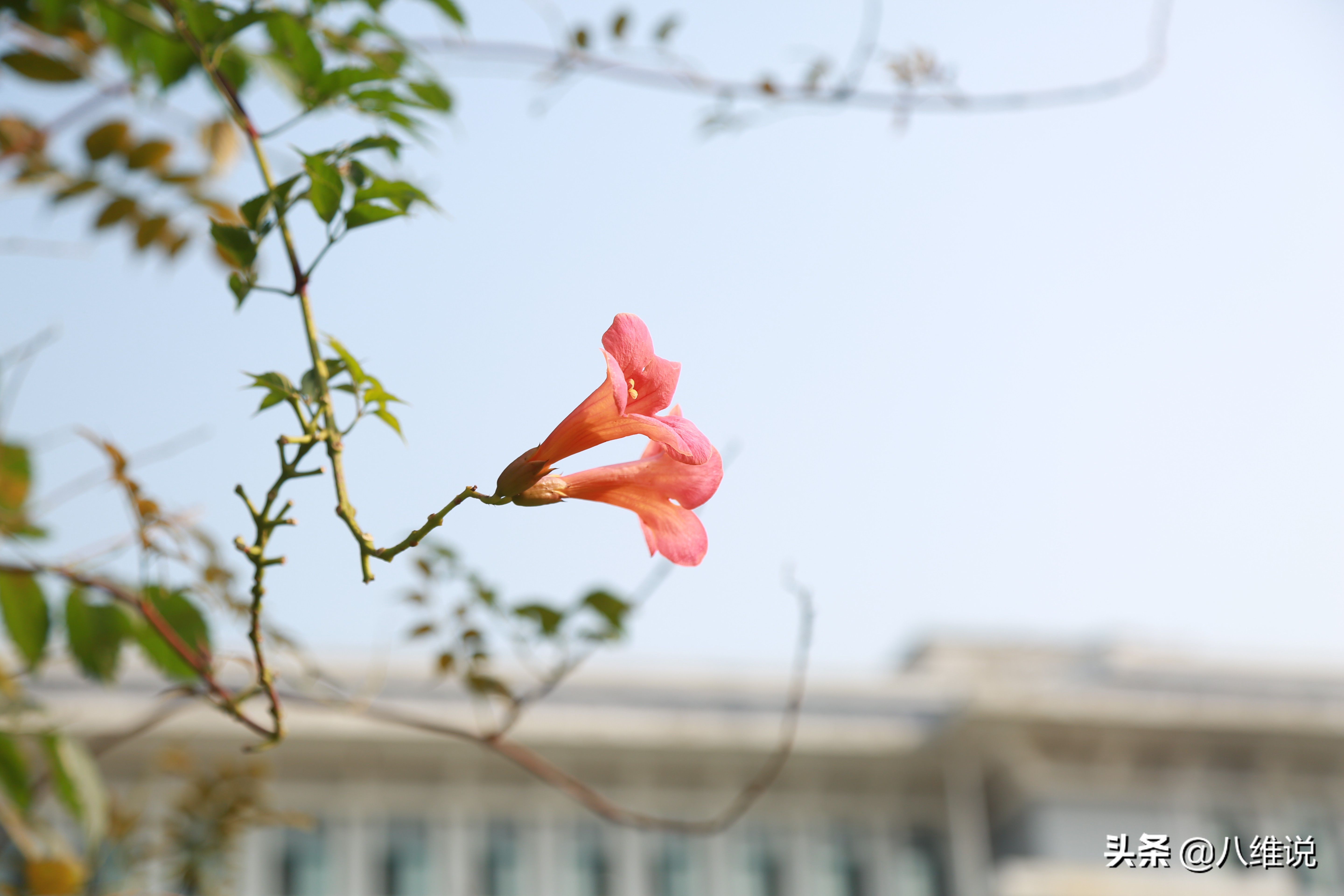 @中考生和考生家长