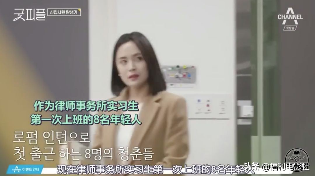 9.5分综艺：8位高材生硬拼2个律师名额，谁不是从当孙子开始的呢