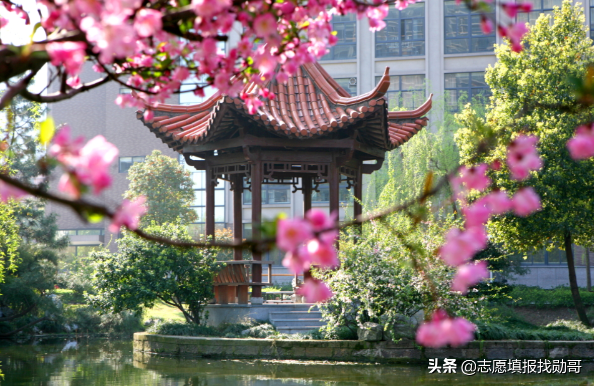 这两所双非大学，评上双一流，肯定有戏！？考生：怎么不早说？