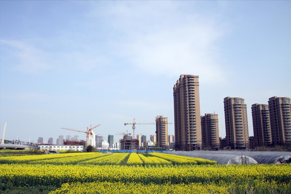 有关宅基地使用权转让的认定问题，不知道可能吃亏